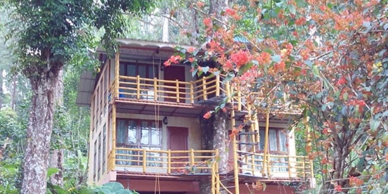 Jungle Jive Tree House