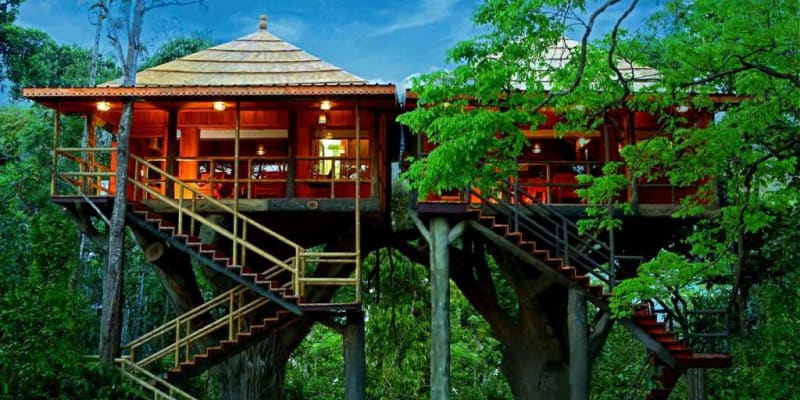 Rangerwood Nature Castle