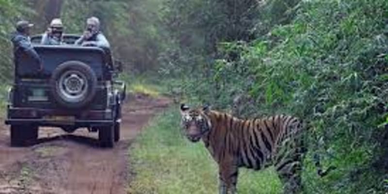 Satpura Safari Resort