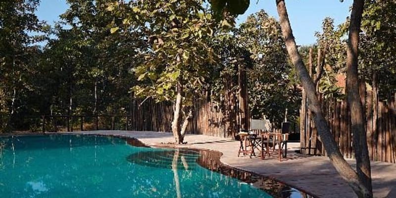 Reni Pani Jungle Resort