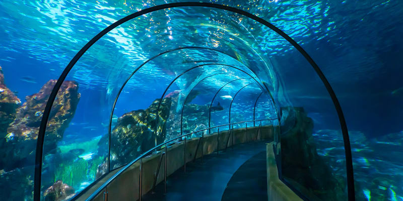 Aquarium Barcelona