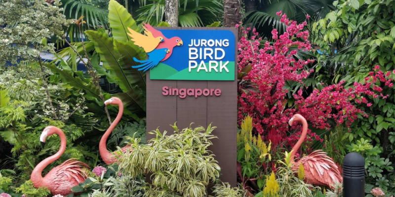 Discover Mother Nature up Close at Jurong Bird Park