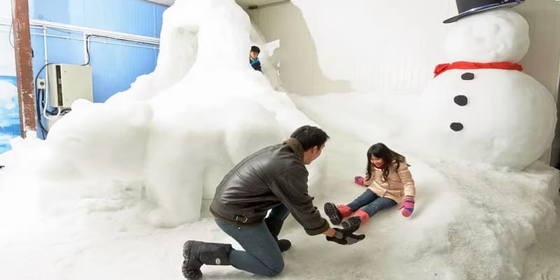 Fun-Filled Experience at The Snow-City