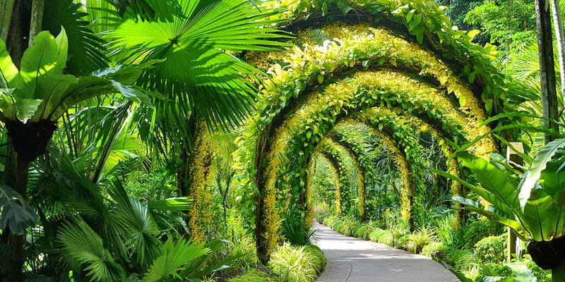 Take an Evening Stroll at The National Orchid Garden