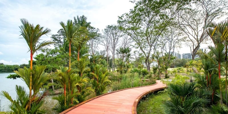 Take a Soothing Stroll at Jurong Lake Gardens