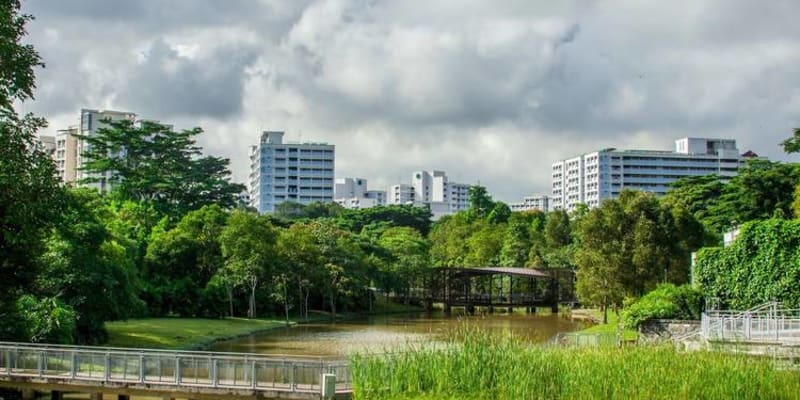 Spend Leisurely Time at Jurong Eco-Garden