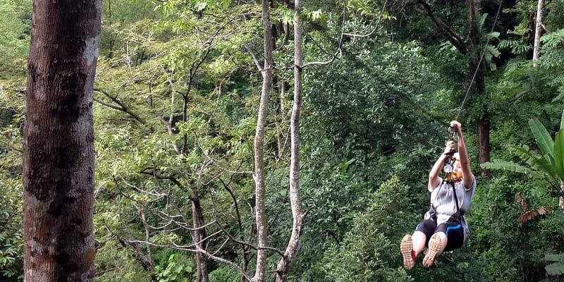Fly High with Ziplining in Phuket