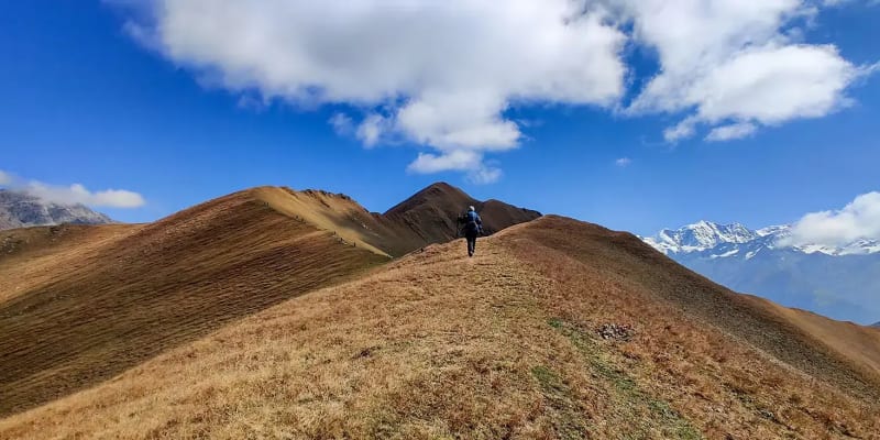 Book Manali Kaisdhar Trek