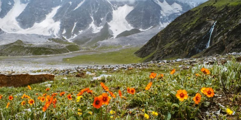 Book Beas Kund Trek
