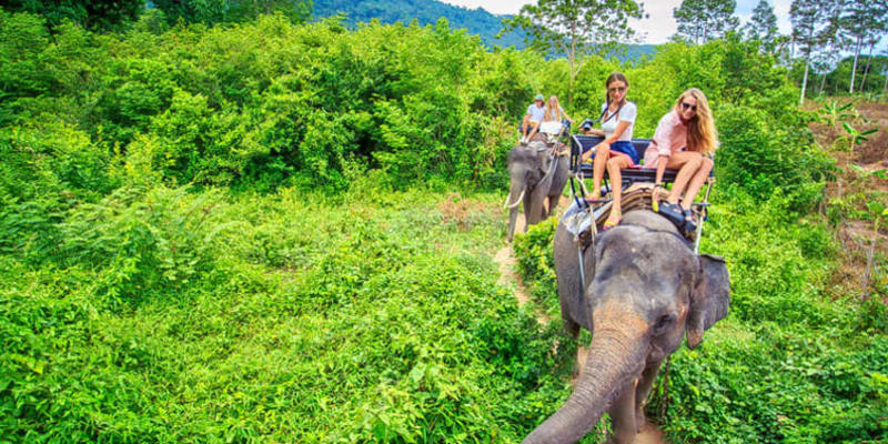 Visit Krabi Elephant Sanctuary