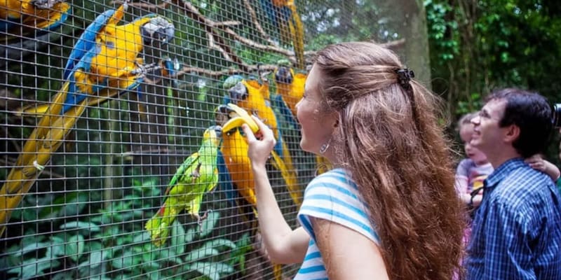 Phuket Bird Park