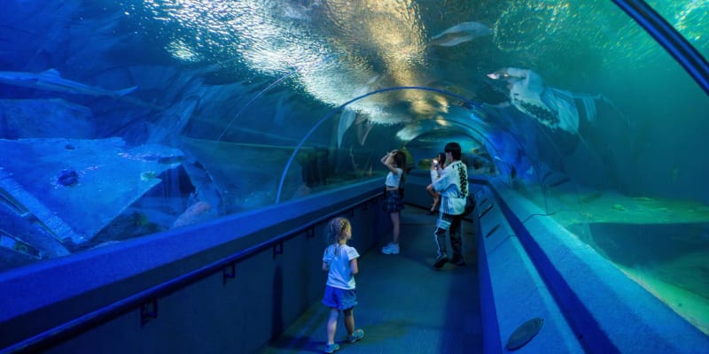 Underwater World Pattaya