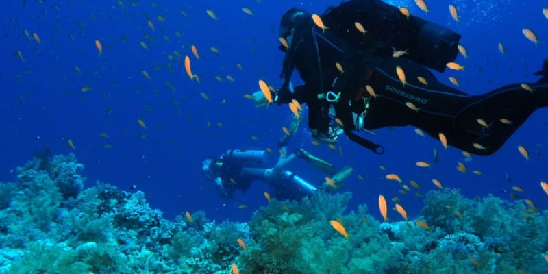 Scuba Diving in Koh Tao