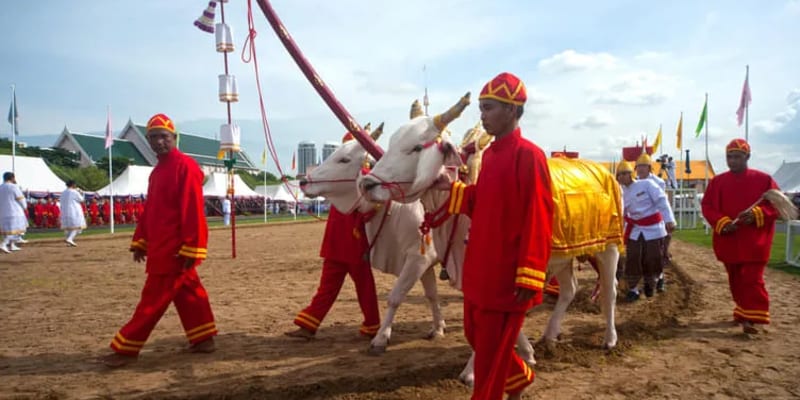 Royal Ploughing Ceremony