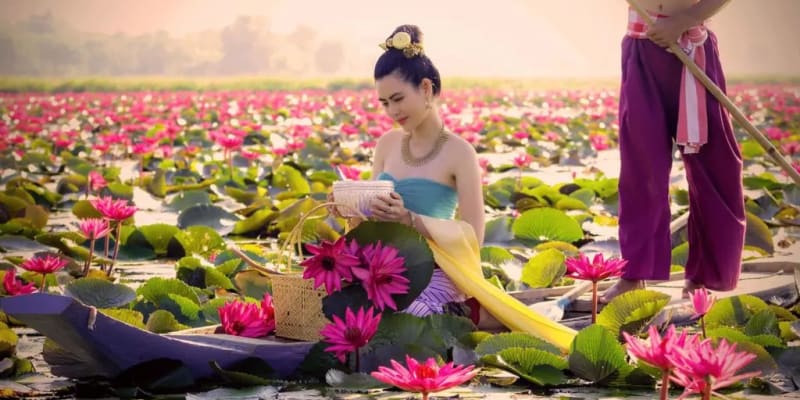 Red Lotus Sea – A Magical Floral Experience