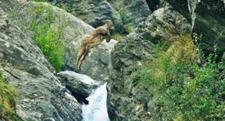 Great Himalayan National Park Kullu, India