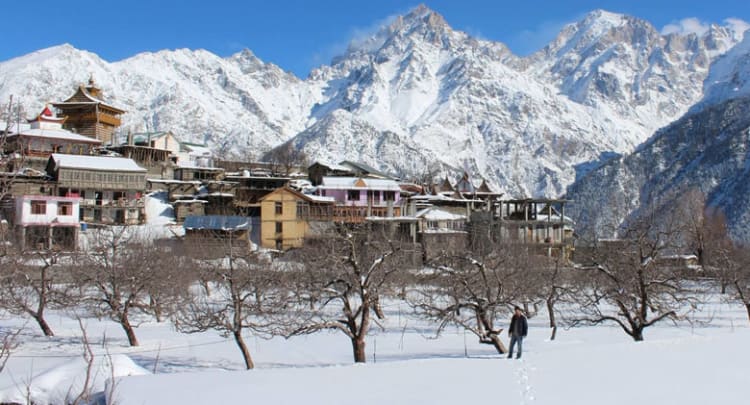 Kalpa, Kinnaur