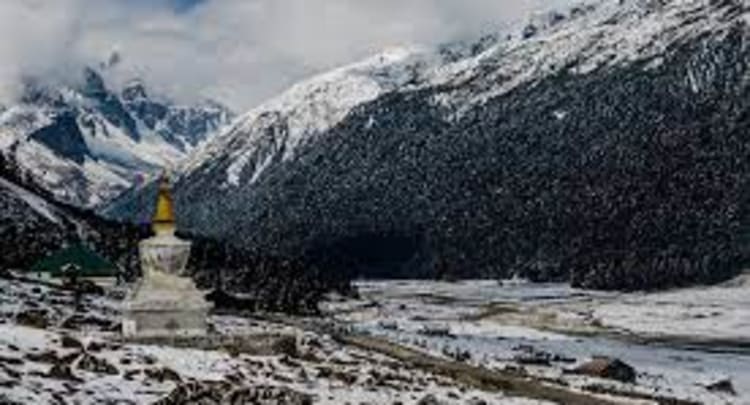 Yumthang Valley