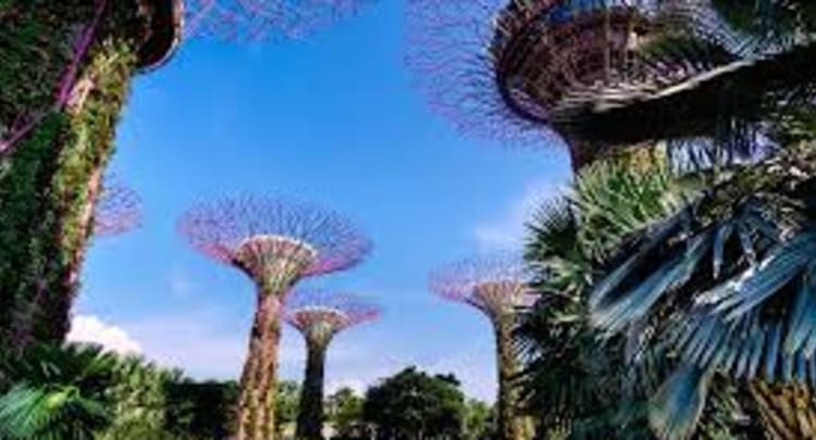 OCBC Skyway- Gardens By The Bay