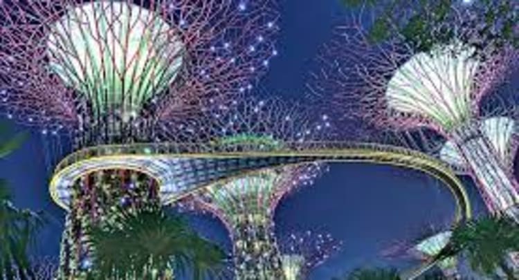 OCBC Skyway- Gardens By The Bay