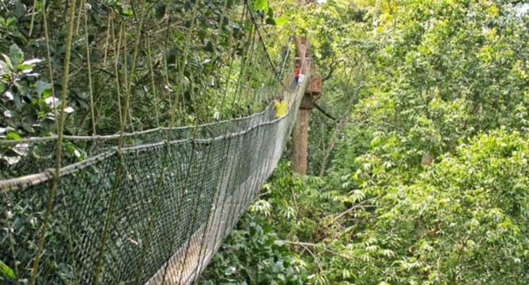 Taman Negara