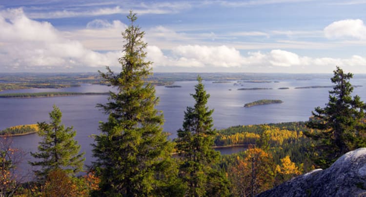 Koli National Park