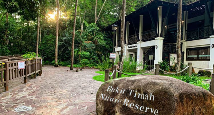 Bukit Timah Nature Reserve