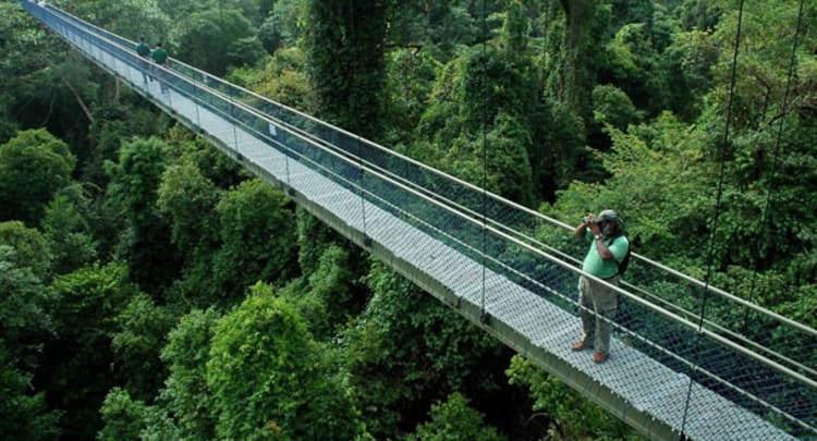 Bukit Timah Nature Reserve