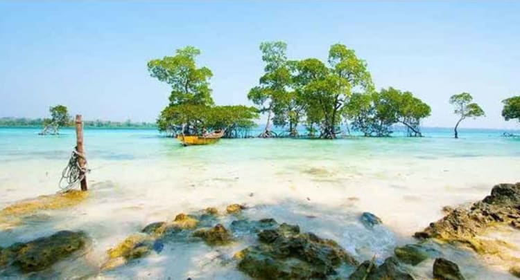 Guitar Island Beach