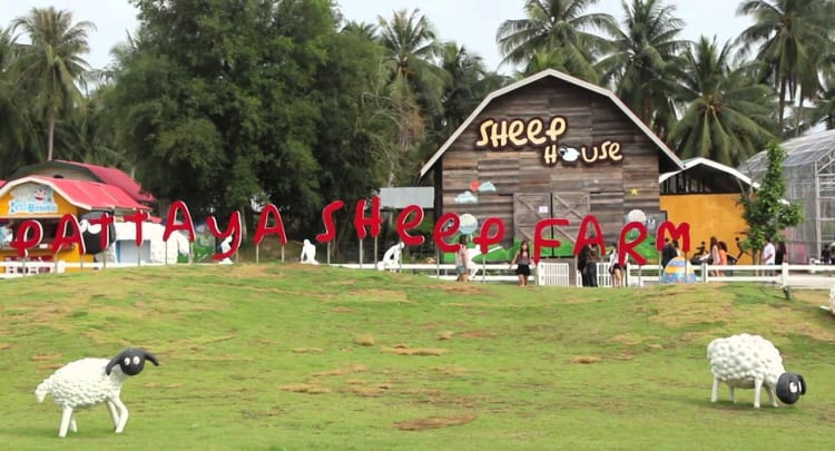 Pattaya Sheep Farm