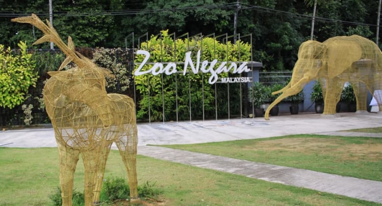 Zoo Negara Malaysia