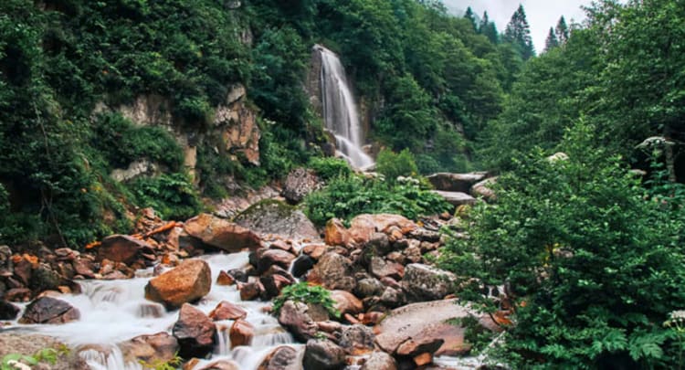 Stony Creek Falls, Cairns, Australia