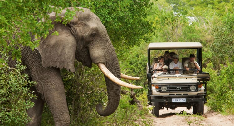 Nagarhole National Park