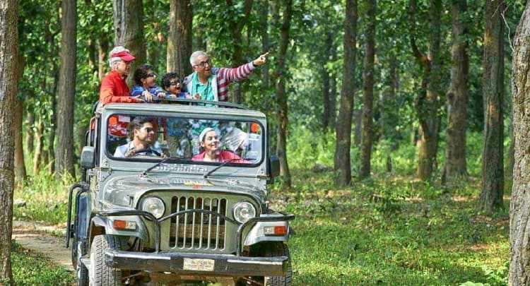 Bhadra Wildlife sanctuary: Where Nature Meets Adventure