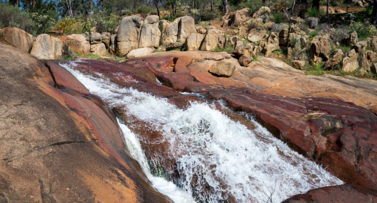 John Forrest National Park