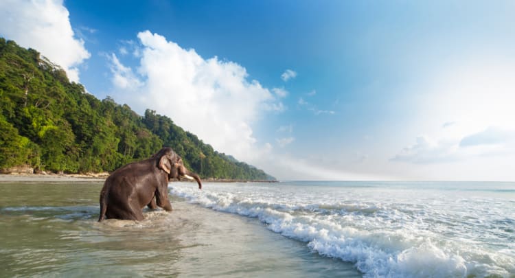 BARREN ISLAND: A NATURAL WONDER OF INDIA'S ANDAMAN AND NICOBAR ISLANDS