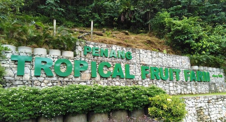 Penang Tropical Fruit Farm