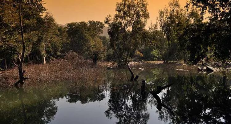 Sitamata Wildlife Sanctuary