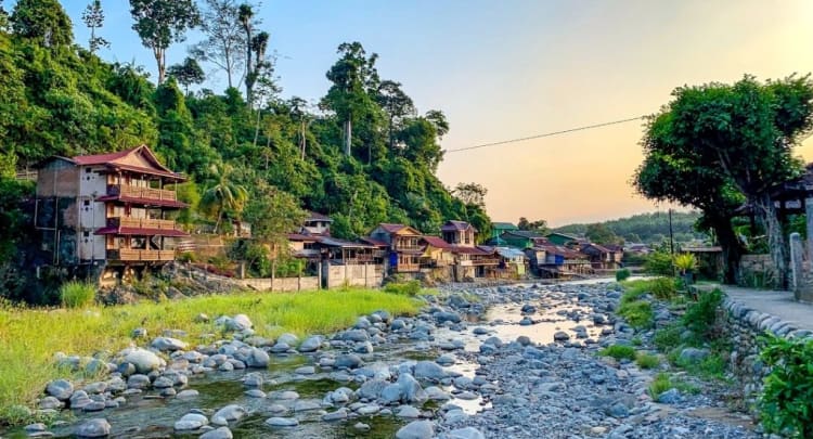 Bukit Lawang