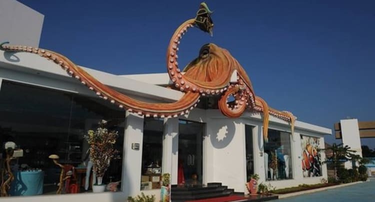 India Seashell Museum