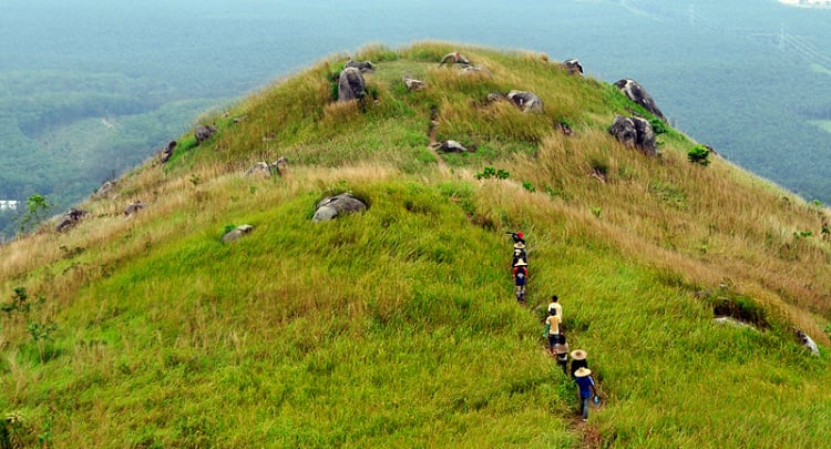 Broga