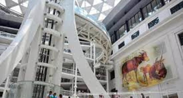 National Museum Of Fine Arts