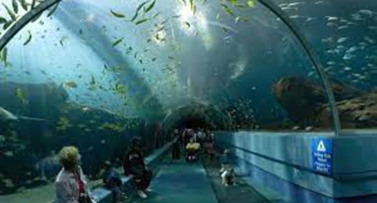 Bangalore aquarium