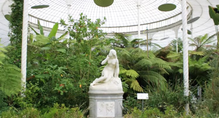Kibble Palace And Glasgow Botanic Gardens