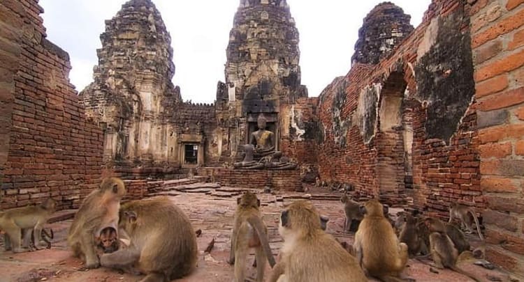 The Monkey Temples of Lopburi