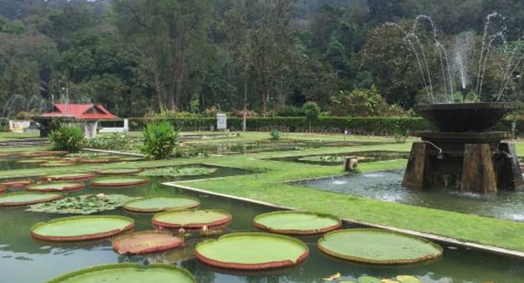 Penang Botanic Garden