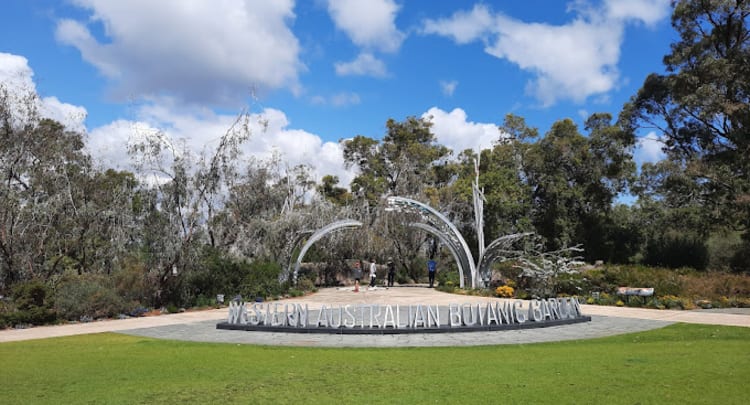 Kings Park And Botanic Garden