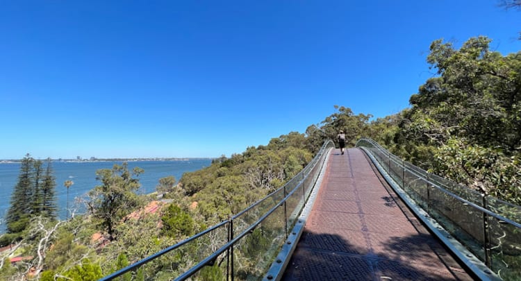 Kings Park And Botanic Garden