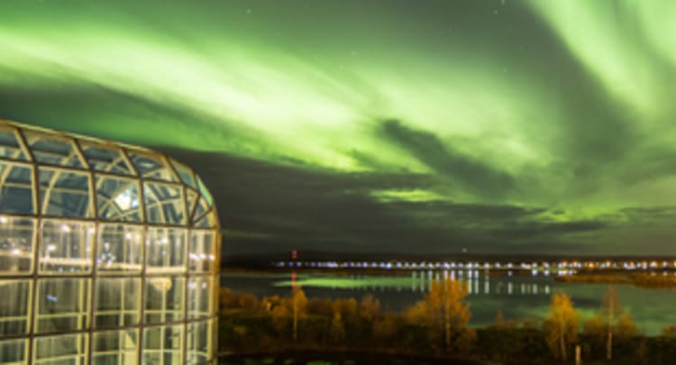 Arktikum