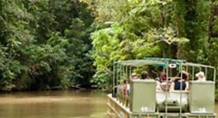 Rainforestation Nature Park Cairns, Australia